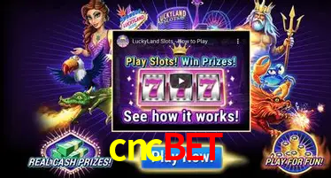 Cassino ao vivo com dealers reais na cncbet